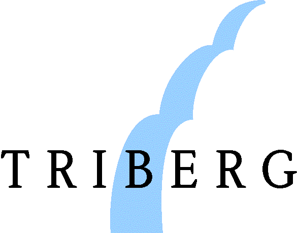 Logo Triberg VR-Arena